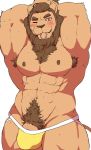  abs accessory anthro armpit_hair blush bodily_fluids body_hair brown_body brown_eyes brown_fur brown_hair brown_mane clothed clothing felid fur genitals hair hair_accessory hair_tie jockstrap lion male mammal mane mouth_hold muscular muscular_male navel nipples object_in_mouth one_eye_closed pantherine pecs penis penis_base pubes simple_background solo sweat topless tying_hair underwear white_background yellow_clothing yellow_underwear yoshizaurusu_n 