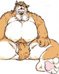  2012 absurd_res anthro balls bara_29 belly blush canid canine canis domestic_dog genitals hi_res humanoid_hands kemono male mammal overweight overweight_male simple_background sitting solo tongue tongue_out white_background 