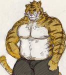  2012 anthro bara_29 belly blush bottomwear clothing felid kemono male mammal moobs nipples overweight overweight_male pantherine pants pink_nose simple_background solo tiger 
