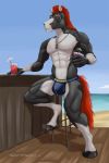  2018 abs alcohol anthro beach beverage biceps black_body black_fur black_hooves blue_clothing blue_sky blue_underwear bulge clothing cocktail cup day detailed_background digital_media_(artwork) dog_tags equid equine eyebrows eyewear front_view fur furniture glass hair holding_cup holding_object hooves horse jockstrap jodira looking_at_viewer male mammal multicolored_body multicolored_fur muscular muscular_male nipples outside pecs pink_nipples red_hair red_tail sampsonwoof sand sea seaside signature sitting sky solo stool sunglasses two_tone_body two_tone_fur underwear water white_body white_eyebrows white_fur 