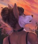  2020 anthro aurru black_lips brown_body brown_fur brown_hair brown_nose canid canine canis day detailed_background digital_media_(artwork) domestic_dog female fur hair lips mammal open_mouth outside sky solo teeth 