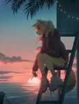  5_fingers anthro bottomwear brown_eyes canid canine canis cigarette clothed clothing detailed_background domestic_dog eyebrows eyelashes female fingers footwear fumiko hair hi_res hoodie mammal outside ponytail shoes shorts sitting sky solo star starry_sky sunset topwear 