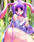  animal_ears ass bad_id bad_pixiv_id bamboo bamboo_forest blush breasts bunny_ears forest kobanzame light_rays long_hair medium_breasts nature nipples panties panty_pull purple_hair purple_panties reisen_udongein_inaba skirt solo sunbeam sunlight tears torn_clothes touhou underwear 