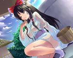  bad_id bad_pixiv_id black_hair bow breasts brown_eyes bucket day dutch_angle hair_bow hair_over_breasts hair_tubes hakurei_reimu kobanzame large_breasts long_hair one_eye_closed see-through solo squatting tabi touhou water wet wet_clothes 