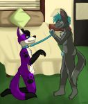  anthro bed bedroom canid canine canis cody collar dannyazazel domestic_cat domestic_dog elkhound felid feline felis furniture hi_res kneeling leash male male/male mammal master pawalo slave spitz 