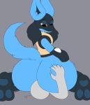  &lt;3 absurd_res ambiguous_gender anon anthro big_butt butt butt_grab duo facesitting fluffy grope hand_on_butt hi_res huge_butt human human_on_anthro interspecies looking_back lucario mammal nintendo pawpads pok&eacute;mon pok&eacute;mon_(species) pok&eacute;philia solo_focus toes traashmann video_games 