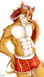  anthro bone boxers_(clothing) bulge canid canine canis clothing domestic_dog fur male mammal muscular muscular_male orange_body orange_fur red_savarin solatorobo soliscanis solo spitz underwear video_games 