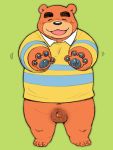  2020 3:4 animal_crossing anthro balls blush brown_body brown_fur clothing eyes_closed fur genitals kemono low_res male mammal nintendo penis shirt simple_background slightly_chubby small_penis solo teddy_(animal_crossing) topwear ursid video_games wantaro 