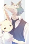  2019 absurd_res anthro beastars blue_clothing blue_topwear canid canine canis chocogabu clothed clothing duo fur fur_tuft haru_(beastars) hi_res lagomorph legoshi_(beastars) leporid mammal rabbit topwear tuft white_clothing white_topwear wolf 