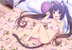  animal_ears bra chocola cleavage feet murata_kenshin nekomimi nekopara pantsu shimapan tail 