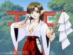  1990s_(style) 1996 1girl anjela breasts brown_hair cleavage copyright copyright_name cowboy_shot dated day gohei hair_tubes hakama holding japanese_clothes long_hair long_sleeves looking_at_viewer megami_paradise miko official_art ofuda open_mouth outdoors outstretched_arm pointy_ears red_eyes red_hakama solo wide_sleeves 