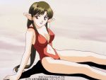  1990s_(style) 1996 anjela brown_hair copyright copyright_name dated hair_tubes long_hair megami_paradise navel_cutout official_art on_grass one-piece_swimsuit open_mouth pointy_ears red_eyes red_swimsuit sand sitting swimsuit 