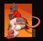  2020 anthro anus blush bottomless clothed clothing female fur genitals grey_body grey_fur hair larsclue leg_warmers legwear looking_at_viewer lying mammal murid murine nipples on_side open_shirt partially_clothed pussy rat rodent shirt solo tail_ring thigh_highs topwear year_of_the_rat 