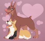  &lt;3 canid canine canis cybernetics deermary doberman_(species) dobermann domestic_dog duo female feral herding_dog heterochromia machine male male/female mammal pastoral_dog pinscher prosthetic prosthetic_arm prosthetic_limb teeth tongue tongue_out welsh_corgi 