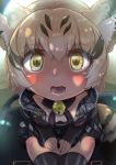 1girl animal_ears breasts cat_ears commentary_request hazki3157 highres kemono_friends looking_at_viewer sand_cat_(kemono_friends) small_breasts solo yellow_eyes 