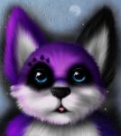  anthro canid canine canis domestic_dog elkhound fluffy headshot_portrait kishudoll male mammal pawalo portrait semi_realism solo spitz 