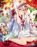  1girl animal_ears arms_up blush closed_mouth company_name embarrassed eyebrows_visible_through_hair falkyrie_no_monshou fox_ears fox_girl green_eyes japanese_clothes kimono looking_at_viewer natsumekinoko official_art silver_hair sitting socks solo white_legwear 