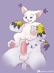  anthro balls blue_eyes blush breasts clothing digimon digimon_(species) duo erection felid female feral fur gatomon genitals gloves handwear hi_res humanoid_genitalia humanoid_penis iztli male male/female mammal nipples open_mouth penis pussy simple_background size_difference solo_focus tuft white_body white_fur 