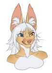  absurd_res anthro beetleinabottle canid canine fennec fox hi_res hybrid mammal mink mustelid musteline piercing rose_dandy-ba smile 