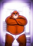  2013 anthro belly brown_body brown_fur bulge clothing eyes_closed fur hi_res hokin_the_bear male mammal navel overweight overweight_male solo underwear ursid 
