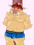  2009 anthro belly blush bodily_fluids brown_body brown_fur bulge clothing fur kemono male mammal moobs nipples overweight overweight_male ryuta-h solo suid suina sus_(pig) sweat underwear wild_boar 