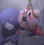  kirby meta_knight tagme 