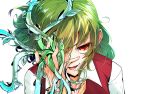  1girl ascot eyebrows_visible_through_hair green_hair hair_between_eyes image_sample itocoh kazami_yuuka leaf long_sleeves looking_at_viewer medium_hair open_mouth plant portrait red_eyes red_vest shirt smile solo touhou twitter_sample vest vines wavy_hair white_background white_shirt 