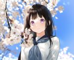  black_hair blush cherry_blossoms chitanda_eru close cropped flowers hyouka long_hair mery_(apfl0515) purple_eyes school_uniform sky spring 