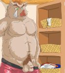  2008 anthro balls belly clothing flaccid genitals green_eyes kemono male mammal moobs penis poisonkinoko slightly_chubby solo suid suina sus_(pig) underwear wild_boar 