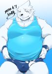  2020 absurd_res anthro belly bulge clothing fur hi_res humanoid_hands kawakyun1 kemono male mammal overweight overweight_male polar_bear shirt simple_background solo topwear underwear ursid ursine white_body white_fur 