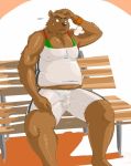  2008 anthro belly bodily_fluids bottomwear brown_body brown_fur bulge clothing fur genital_outline humanoid_hands kemono male mammal overweight overweight_male penis_outline poisonkinoko shirt shorts sitting solo sweat topwear ursid 