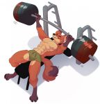  abs anthro bench_press biceps blush bodily_fluids bulge canid canine clothed clothing disney exercise fox hi_res laphund male mammal muscular muscular_male nick_wilde pecs solo sweat topless weightlifting weights workout zootopia 