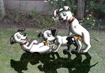  101_dalmatians disney lucky tripod two-tone 