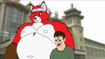  16:9 absurd_res andrew_the_fox anthro canid canine china fox hi_res human male mammal meandandrewthefox musclegut muscular slightly_chubby widescreen 