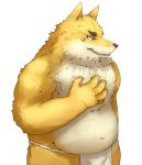  2009 anthro asian_clothing belly canid canine clothing east_asian_clothing fox fundoshi fur humanoid_hands japanese_clothing kemono male mammal navel overweight overweight_male simple_background solo underwear white_background yamacha012 yellow_body yellow_fur 