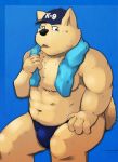  2009 anthro belly black_nose blue_background brown_body brown_fur bulge canid canine canis clothing domestic_dog fur humanoid_hands kemono male mammal navel overweight overweight_male simple_background sitting solo towel underwear yamacha012 