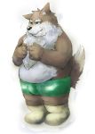  2008 anthro blue_eyes brown_body brown_fur bulge canid canine canis clothing fur hi_res humanoid_hands kemono male mammal overweight overweight_male simple_background solo underwear white_background white_body white_fur wolf yamacha012 