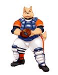  2010 anthro baseball_(sport) belly bottomwear canid canine canis clothing domestic_dog humanoid_hands kemono male mammal pants simple_background slightly_chubby solo sport white_background yamacha012 