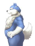  2009 anthro belly black_nose blue_body blue_fur butt canid canine canis fur humanoid_hands kemono male mammal simple_background slightly_chubby solo white_background white_body white_fur wolf yamacha012 
