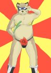  2008 anthro belly brown_body brown_fur bulge canid canine canis clothing domestic_dog flower fur humanoid_hands male mammal navel one_eye_closed plant slightly_chubby solo takeru_(artist) underwear wink 