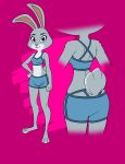  barefoot butt cheek_tuft clothing color_edit colored darkbunny666 disney edit facial_tuft fur grey_body grey_fur hi_res judy_hopps lagomorph leporid mammal midriff purple_eyes rabbit shoxxe simple_background standing swimwear tuft zootopia 