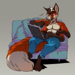  absurd_res anthro beverage bottomwear canid canine chair chipfox clothing computer digitigrade fablepaint_(artist) fox furniture glass hi_res laptop lounge_chair male mammal multi_arm multi_limb pants sitting solo straw 