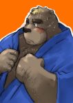  2008 anthro blush brown_body brown_fur clothing fur humanoid_hands kemono male mammal orange_background overweight overweight_male portrait robe simple_background solo ursid まぐまたいし 