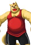  2012 anthro bottomwear canid canine canis clothing domestic_dog hi_res kemono kuma_(pixiv_881259) male mammal one_eye_closed overweight overweight_male shirt shorts simple_background solo topwear white_background wink 
