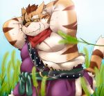  2013 anthro belly blush bodily_fluids clothing eye_patch eyewear felid feline kemono male mammal nikiciy outside overweight overweight_male robe scar solo sweat 