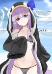  1girl absurdres animal_hood bangs bare_shoulders bikini bird black_bikini black_jacket blue_bow blue_eyes blue_sky blush bow breasts choker closed_mouth collarbone fate/grand_order fate_(series) hair_bow hasunuma highres hood hood_up iceberg jacket long_hair long_sleeves looking_at_viewer meltryllis meltryllis_(swimsuit_lancer)_(fate) navel ocean open_clothes open_jacket penguin penguin_hood purple_hair sky sleeves_past_fingers sleeves_past_wrists small_breasts smile swimsuit very_long_hair 