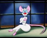  2018 anthro big_breasts black_bars blue_sclera breasts cage covering covering_breasts crossgender dracojeff female fur letterbox looking_at_viewer mammal mouse murid murine nude pinky_(warner_brothers) pinky_and_the_brain red_nose rodent sitting solo surprise thick_thighs warner_brothers white_body white_fur wide_hips 