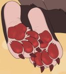  2020 4_toes ambiguous_gender anthro barefoot biped black_body black_fur brown_body canid canine canis claws digital_drawing_(artwork) digital_media_(artwork) foot_shot fur grey_body grey_fur hindpaw kazu_(kazuk9) kazuk9 kneeling leg_tuft mammal nude pawpads paws rear_view red_claws red_pawpads simple_background solo three-quarter_view toes tuft wolf yellow_background 