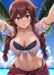  1girl bikini black_bikini blue_sky blush braid breasts brown_hair cloud cloudy_sky collarbone cowboy_shot day eyebrows_visible_through_hair green_eyes groin hair_between_eyes highres ichikawa_feesu kantai_collection large_breasts long_hair looking_at_viewer navel noshiro_(kantai_collection) ocean open_mouth palm_tree sky solo swimsuit tree twin_braids 