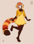 2020 4_toes 5_fingers ailurid anthro barefoot black_nose blue_eyes clothed clothing digital_media_(artwork) dress female fingers hair kacey mammal open_mouth orange_hair red_panda smile solo teeth toes tongue 
